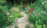 garden2.jpg